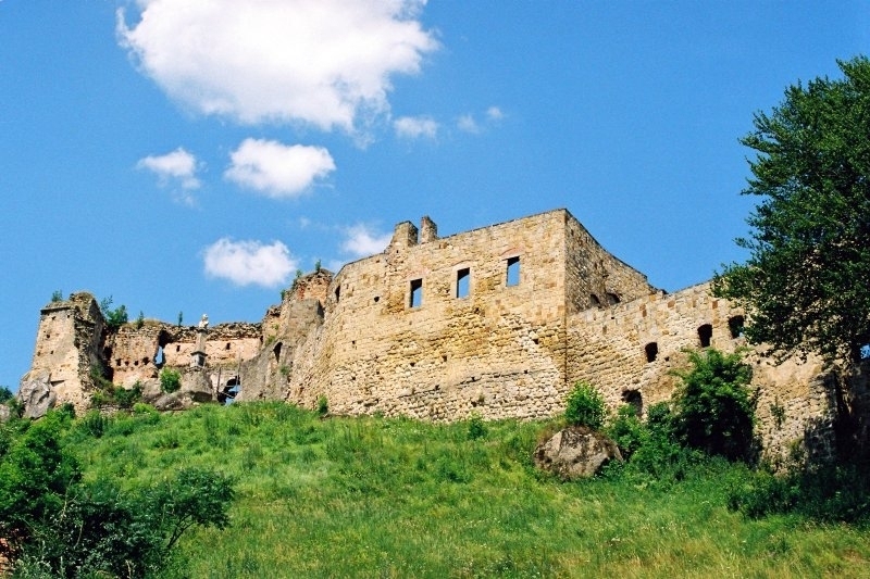 Zamek-kamieniecki-w-Odrzykoniu.jpg